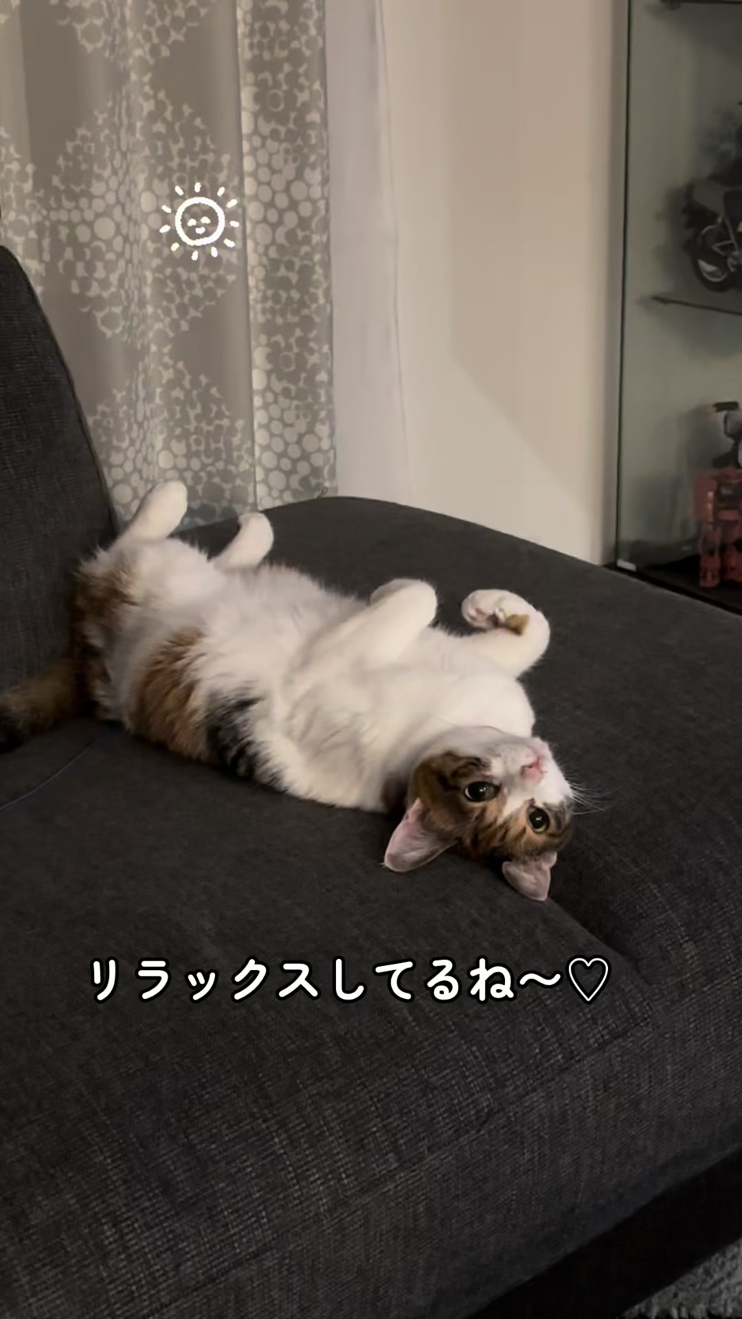 @ゆきりん