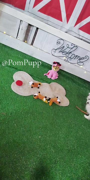 @Pompoochie