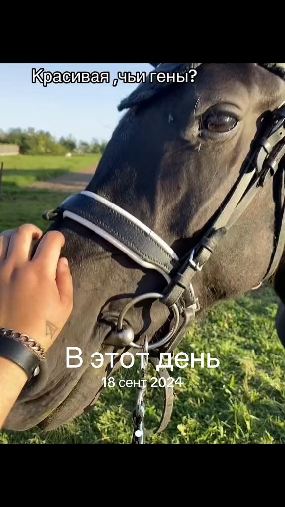 @umago.vitebsk