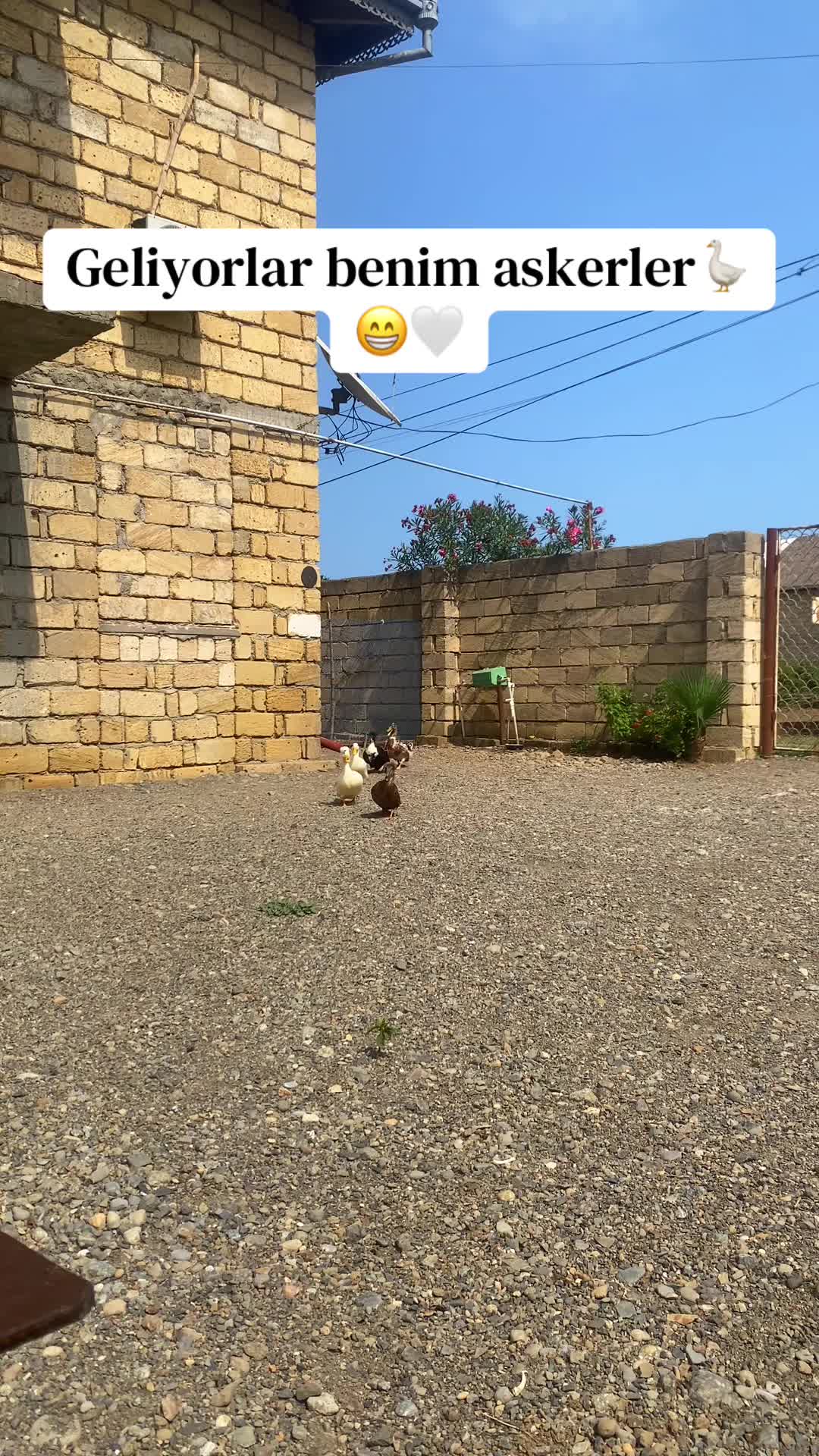 @Aygün🌜🌞