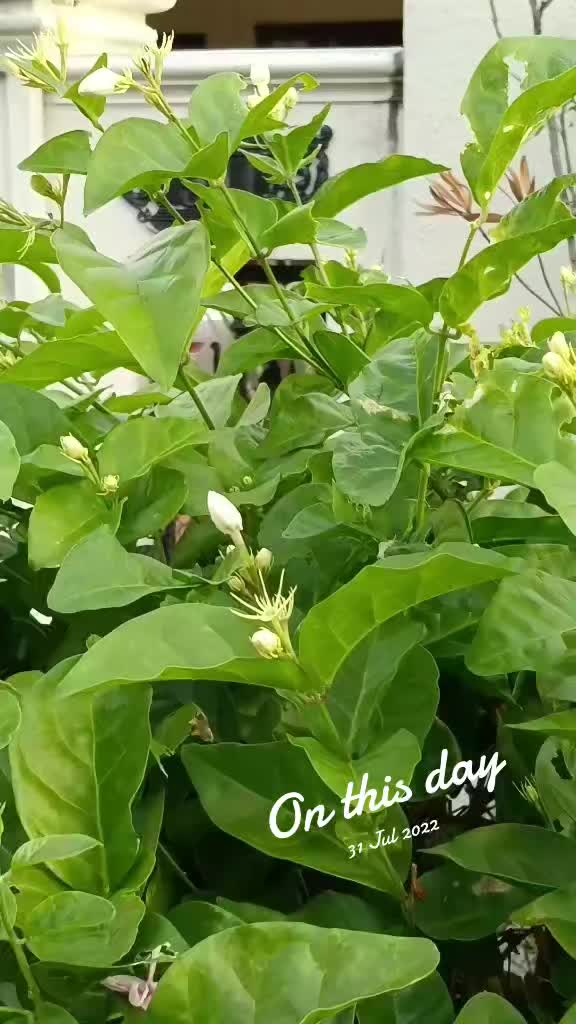 @Sathia 83