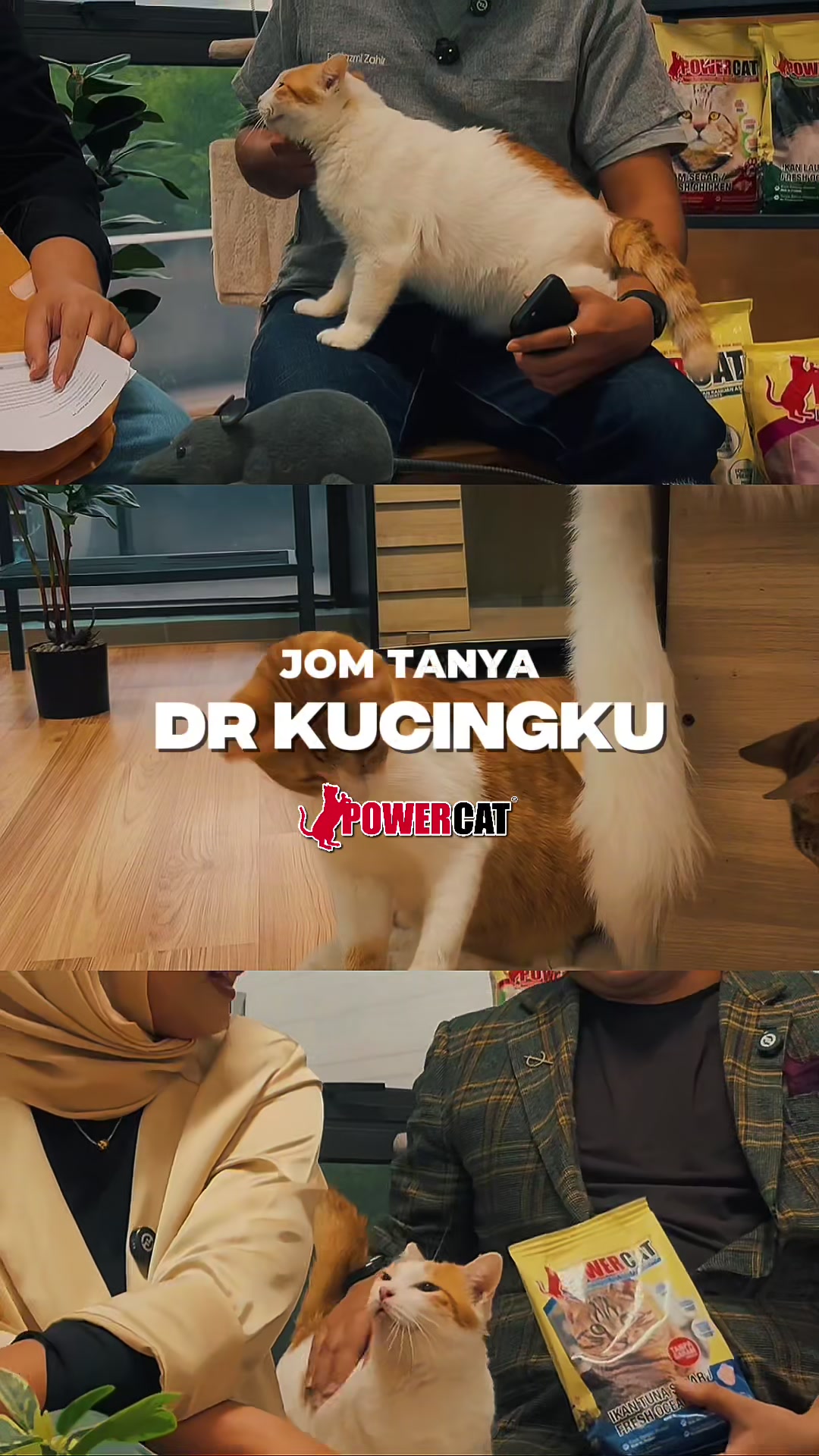 @Powercat Official