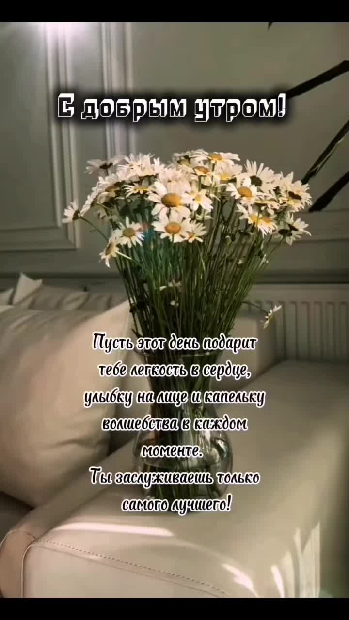 @Цитаты, статусы)