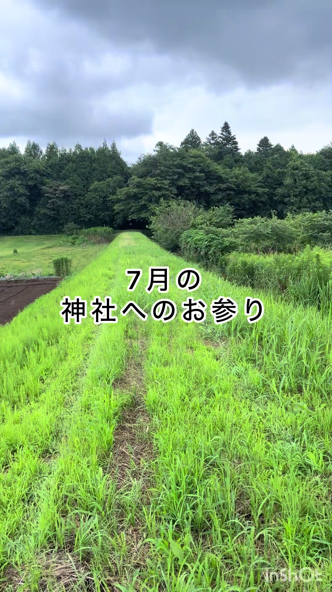 @ミウラ•リョーコ(イーツカ•リョーコ)