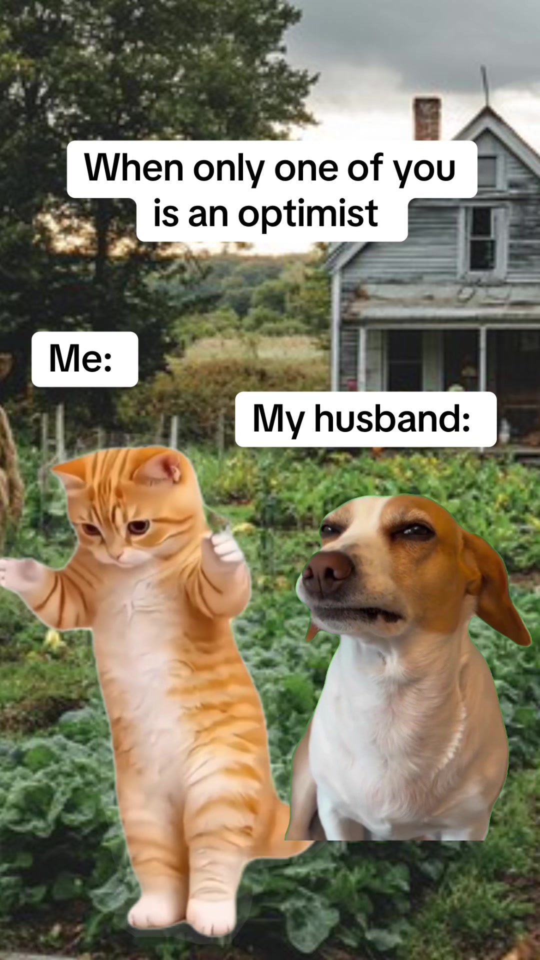 @thatredbarnlady