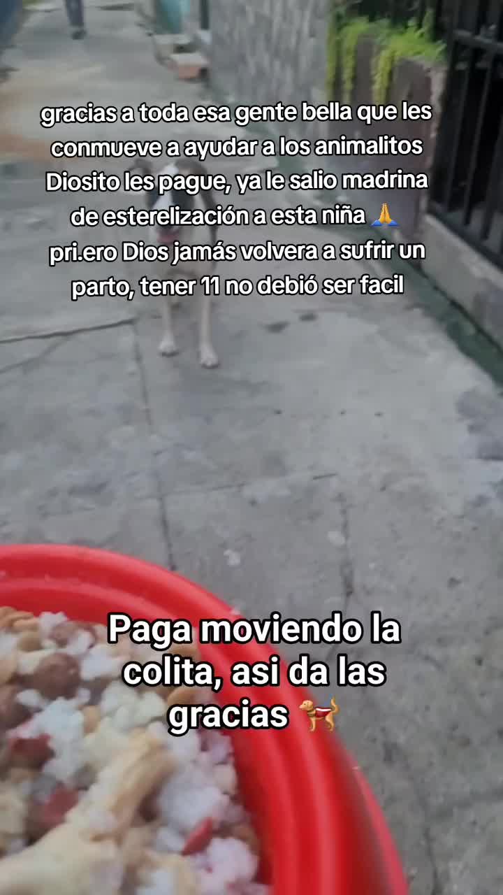 @𝕃𝕚𝕤𝕤 ℝ𝕖yes🇸🇻