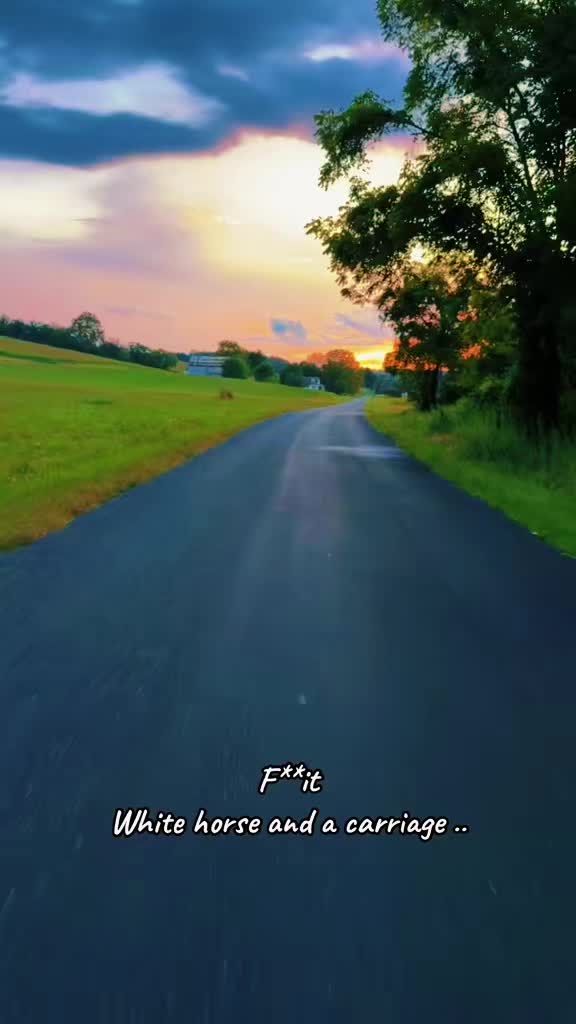 @Danigurl🦮🏇🌅