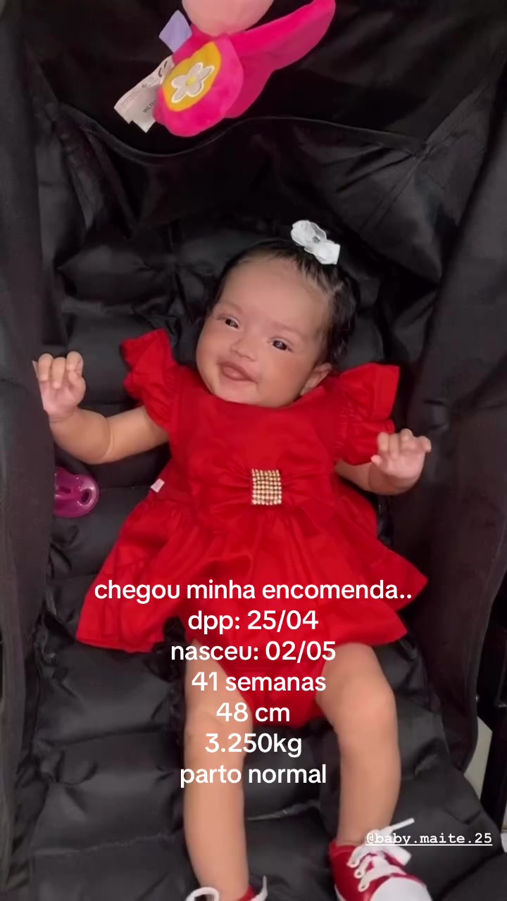 @eduarda curvello