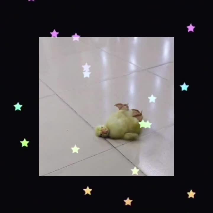 @Ducks