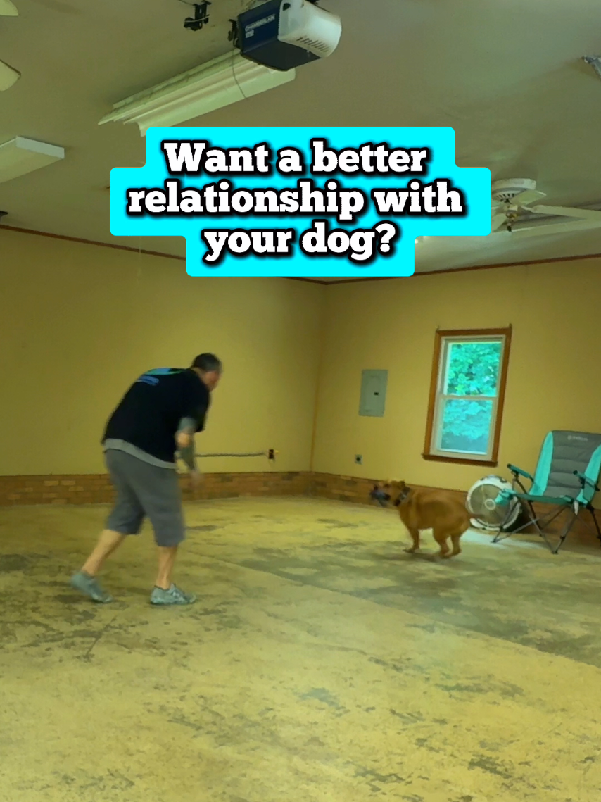 @Lost Boys K9 Academy