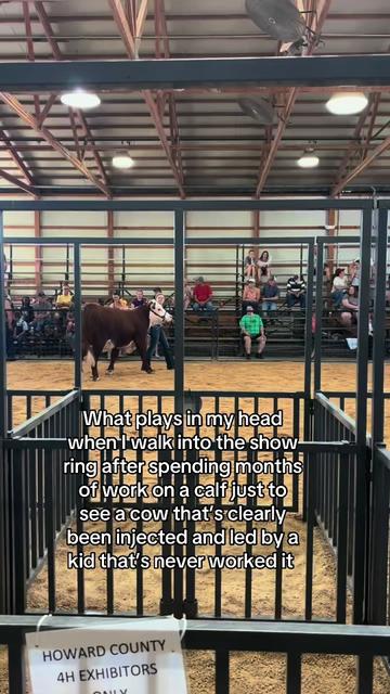 @Sylvia🐄
