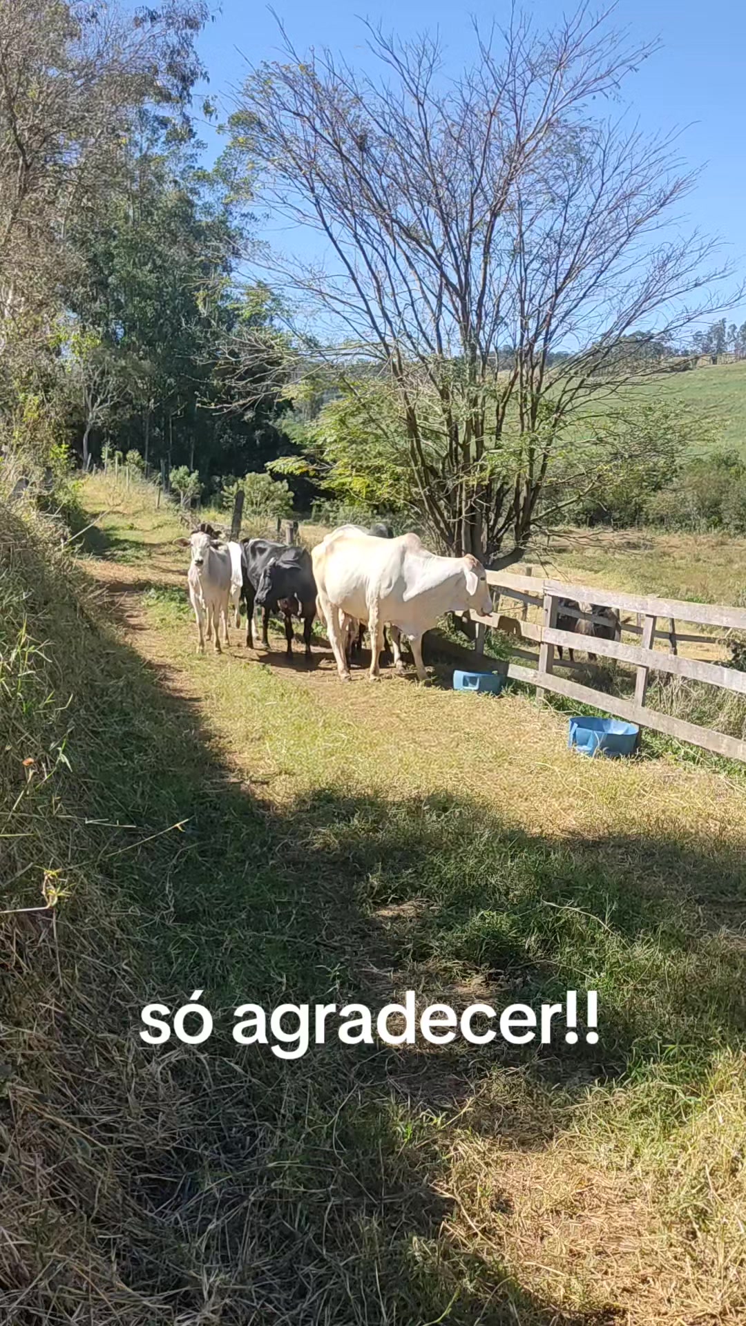 @mariamarciaoliv57