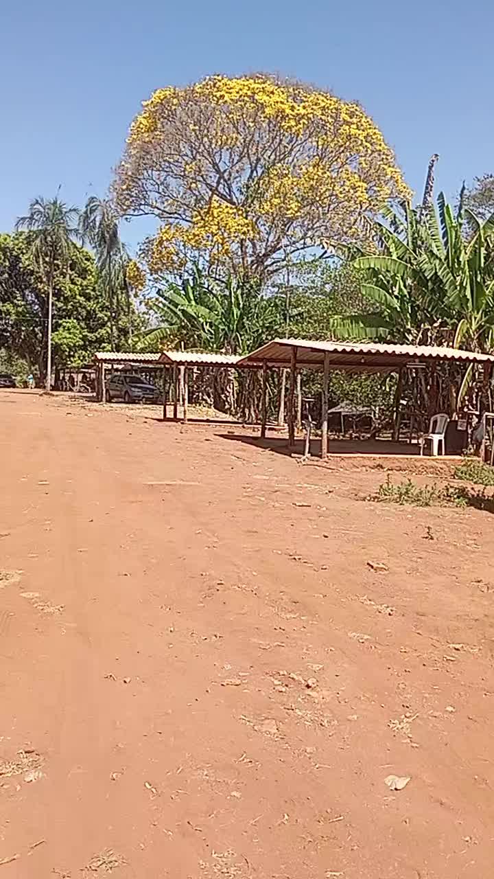 @Marcos