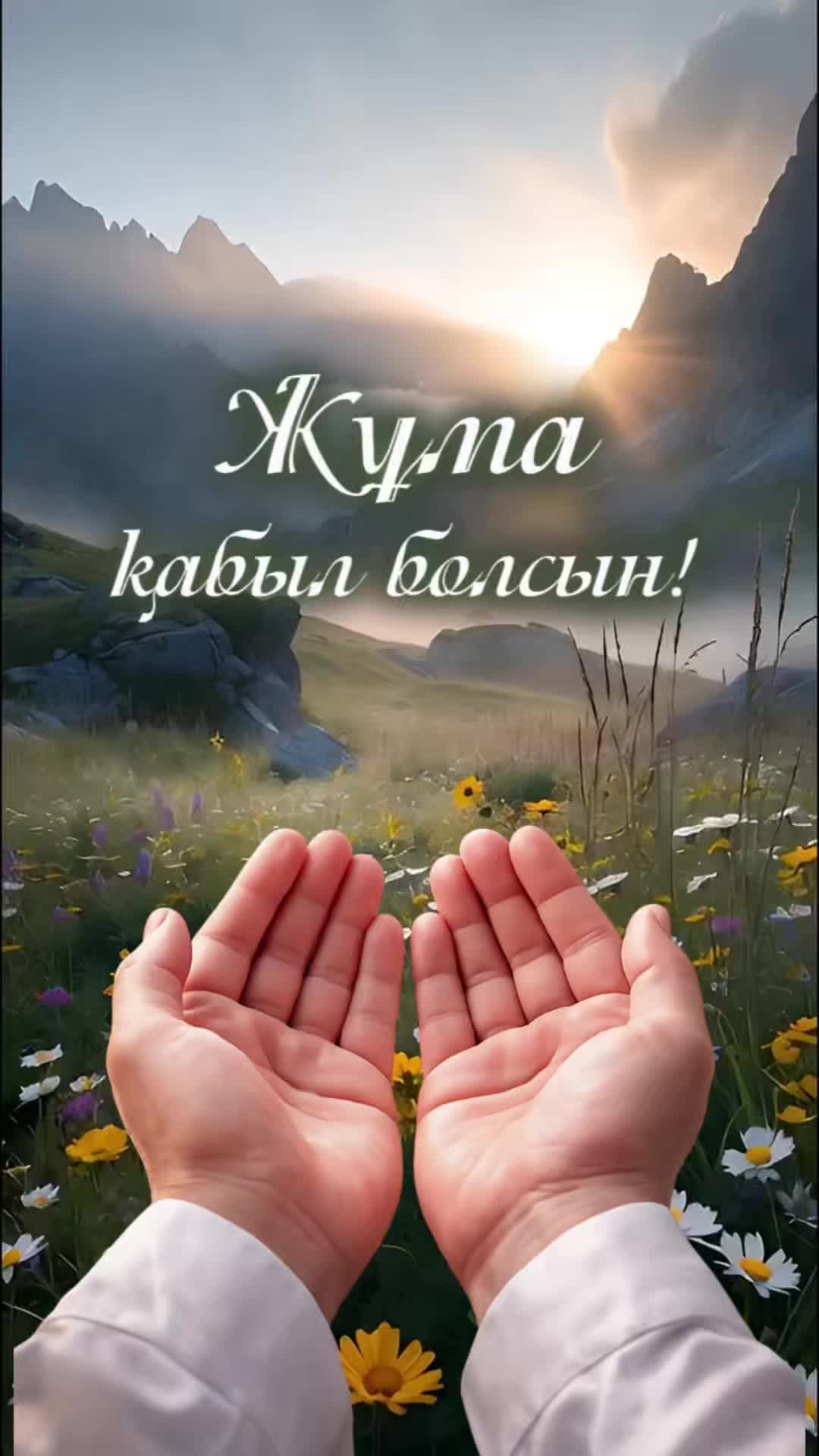 @aray_dinasil