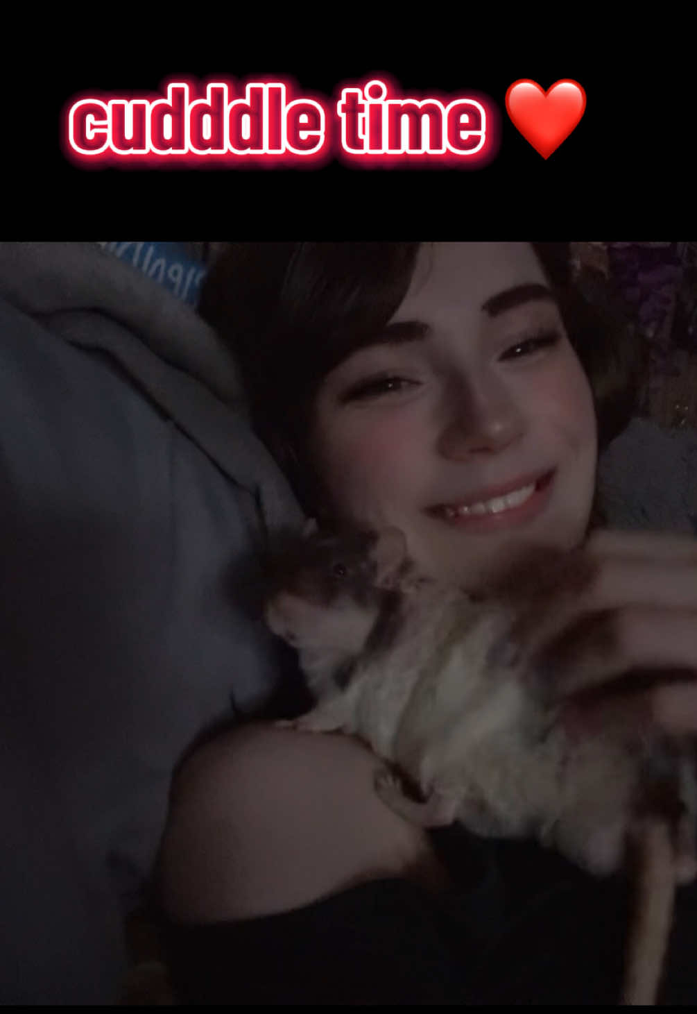 @lookatmyrodents