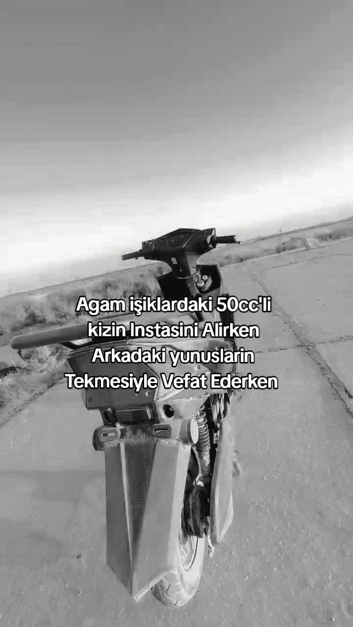 @𝑨𝒍𝒊𝒄𝒂𝒏🗽