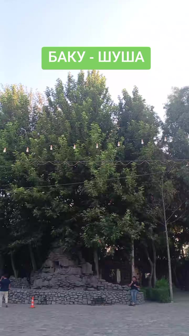@Мамедов