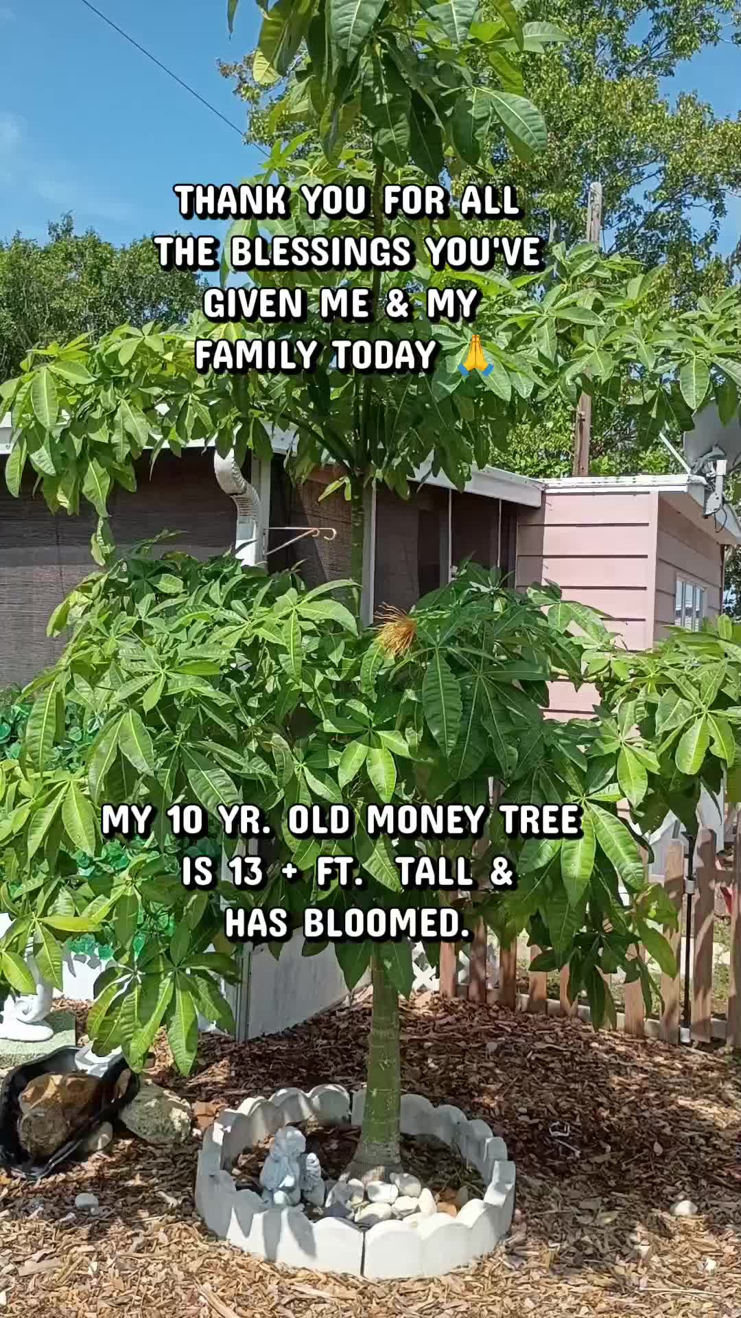 @BuiltOnBroken