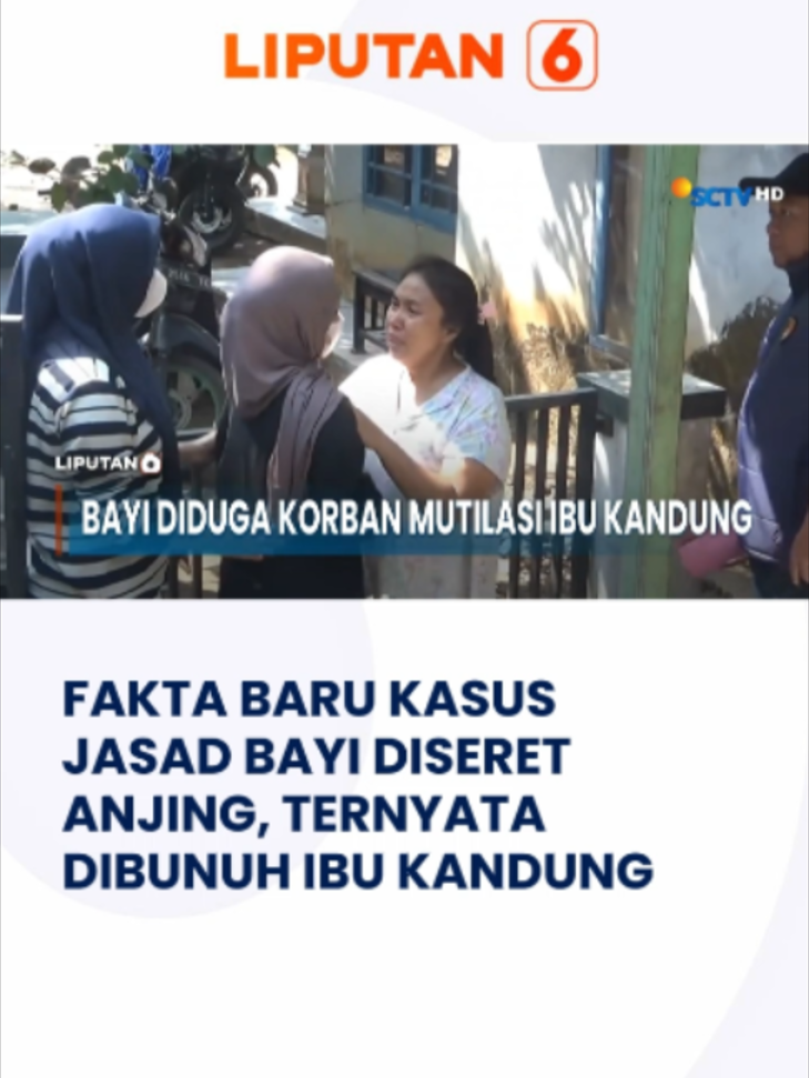 @Liputan6