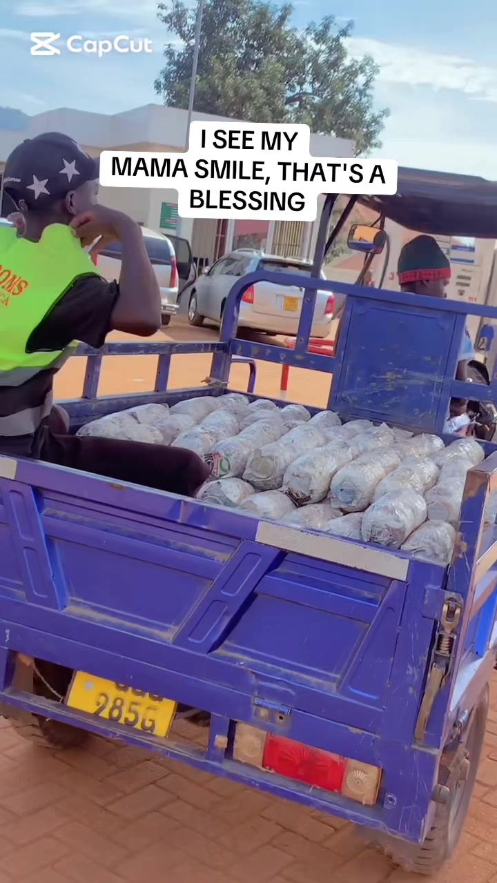 @BLESSED AGRICULTURAL MUSHROOM