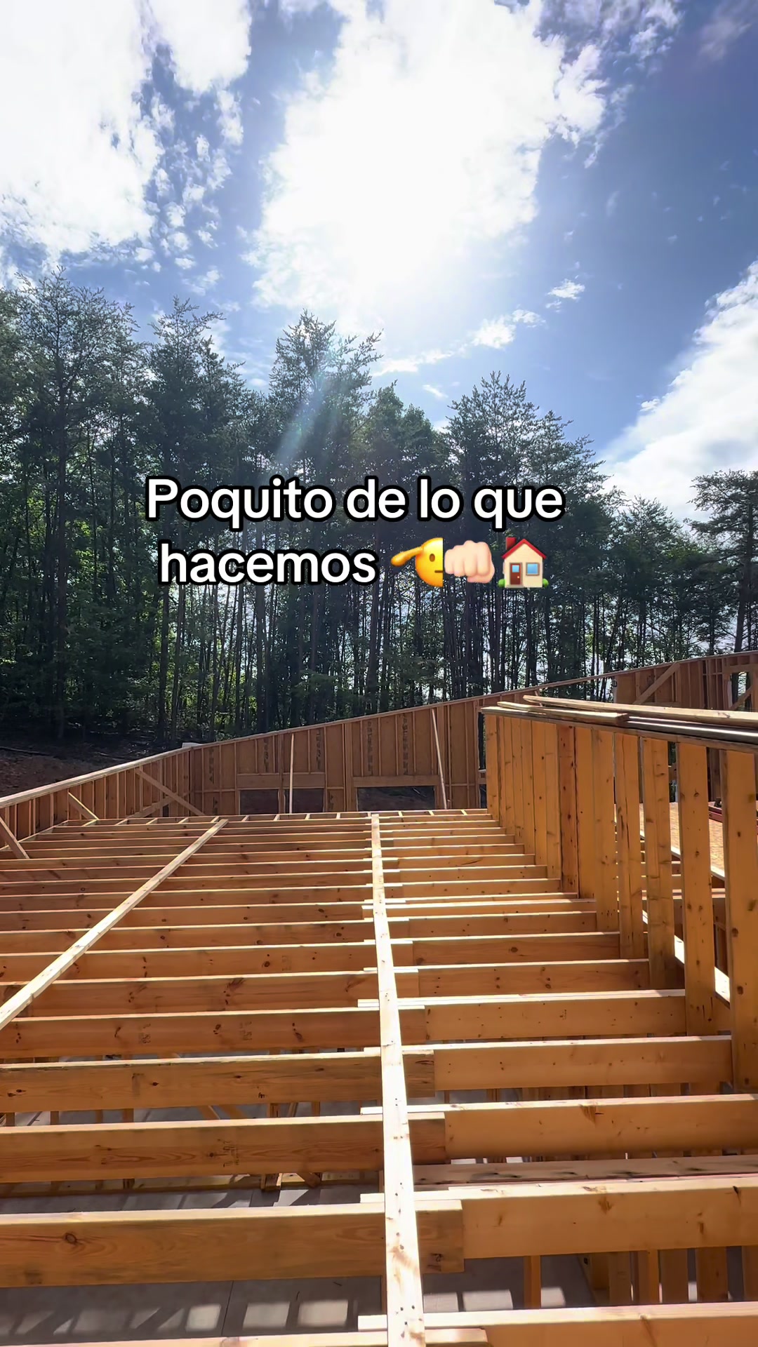 @Dani Agosto