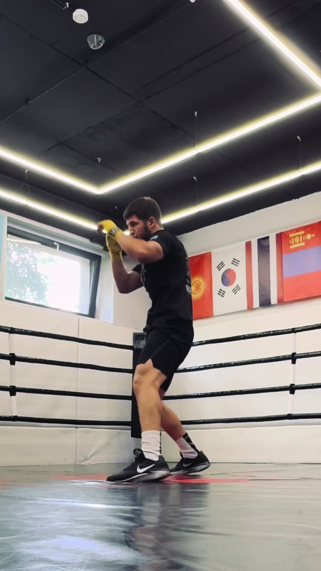 @emirboxing