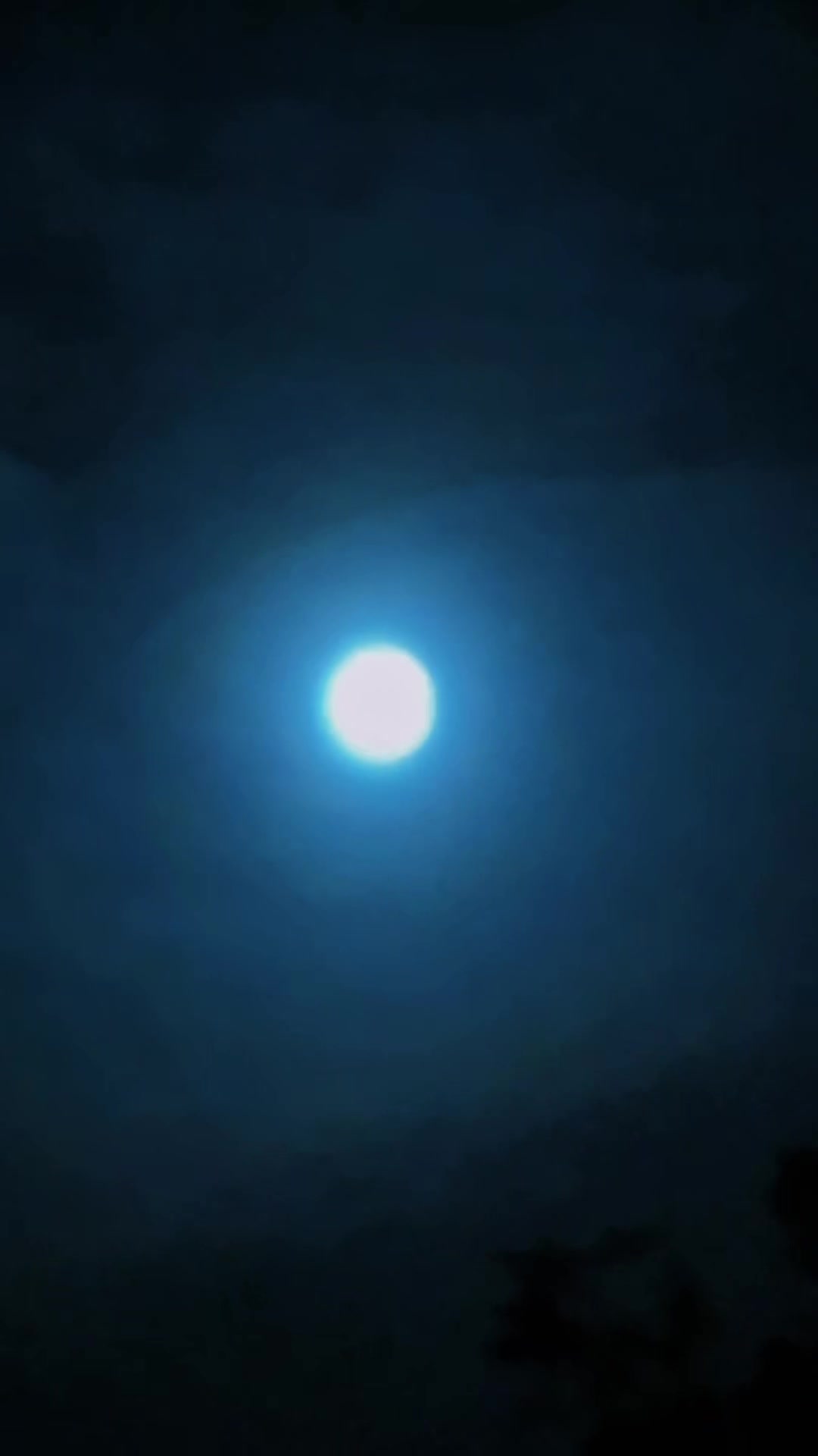 @𝗔𝗯𝗱𝘂𝗹𝗿𝗮𝗵𝗺𝗮𝗻𝗸𝗱𝘇