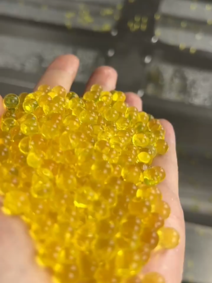 @annajunyu