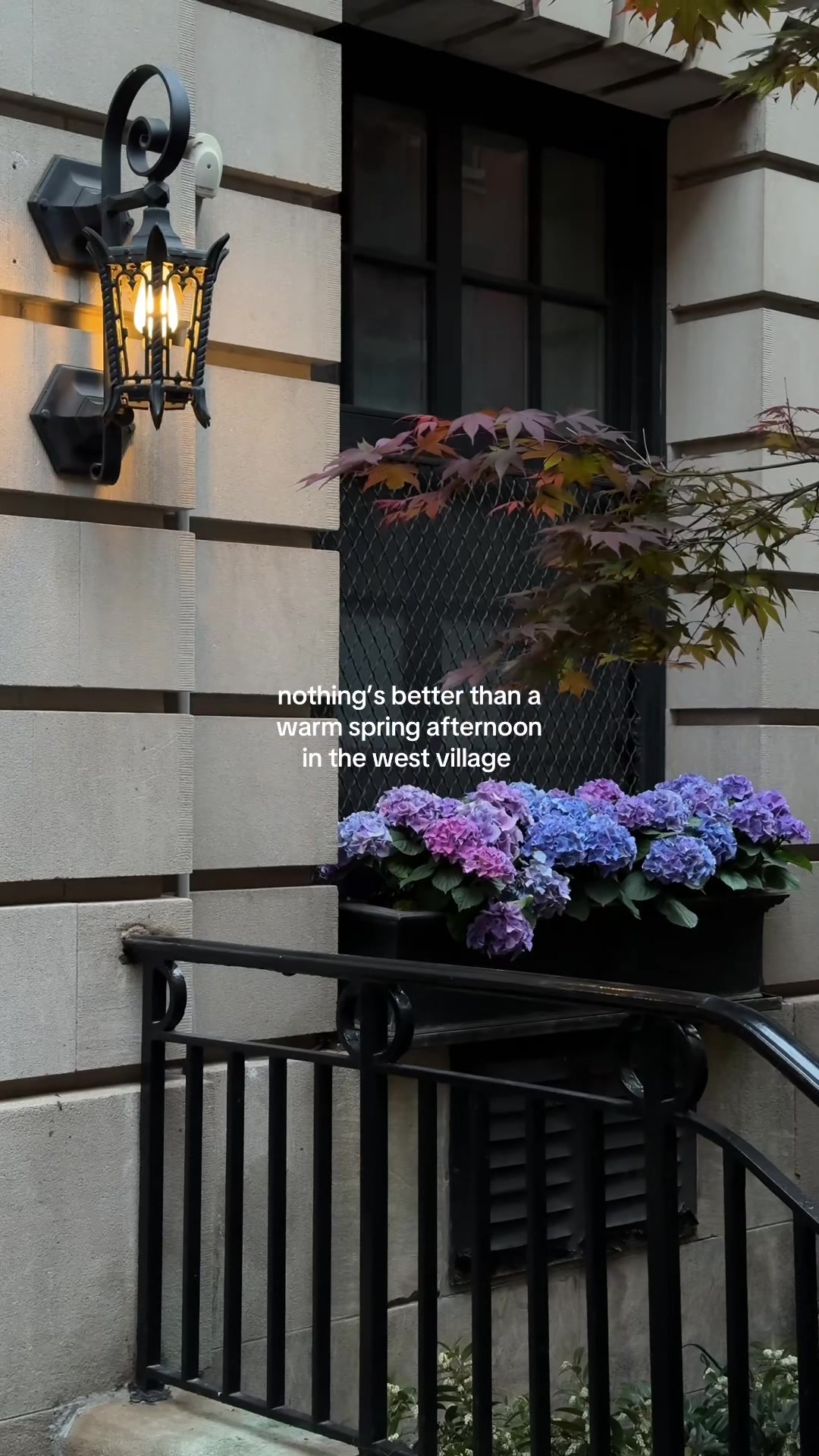 @Olya Miu | NYC