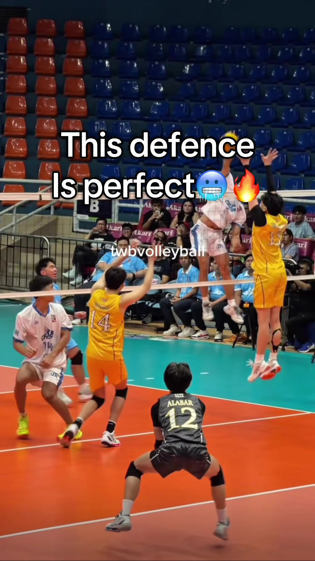@CJvb🐻