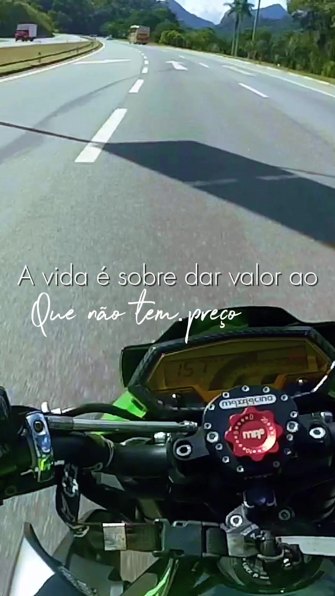 @Bruno Abreu