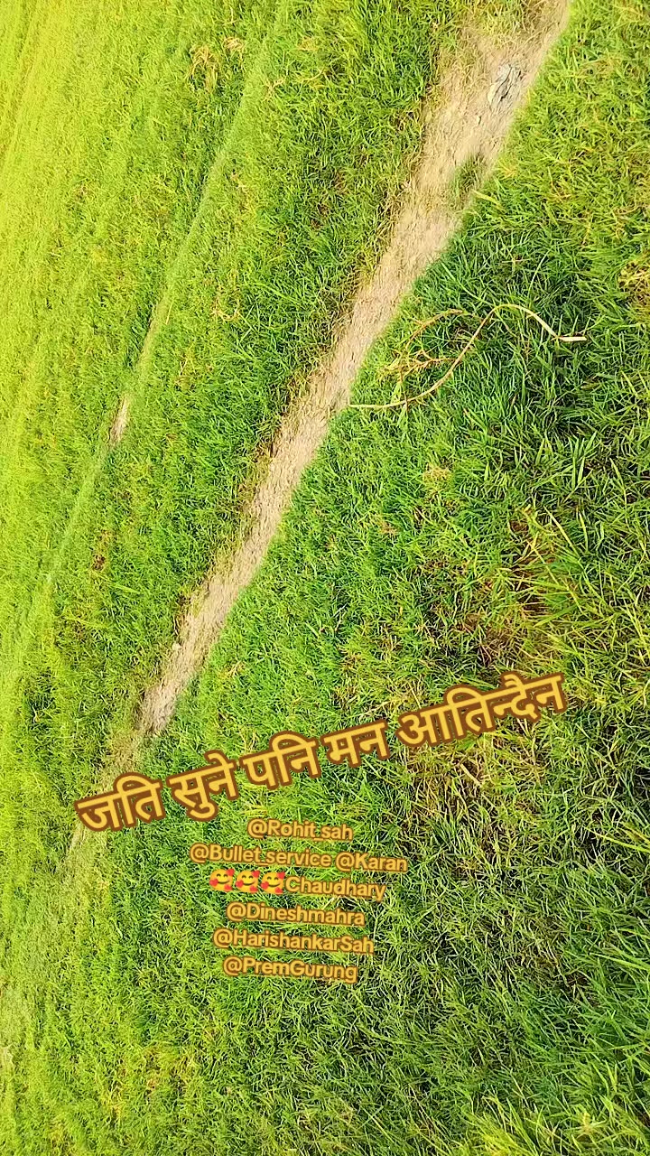 @Bhola Mali