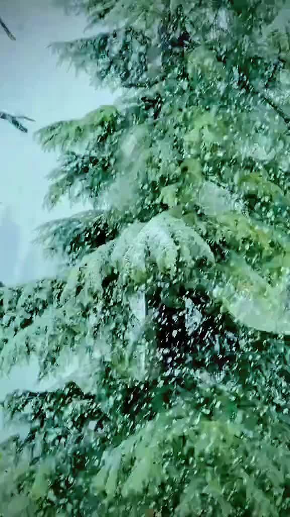 @𝑰𝑻𝑺 𝑴𝑨𝑯𝑨𝑴 𝑫𝑰𝑹𝑶𝑱𝑰