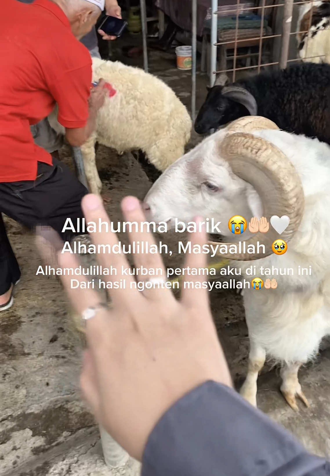 @Siskaandd
