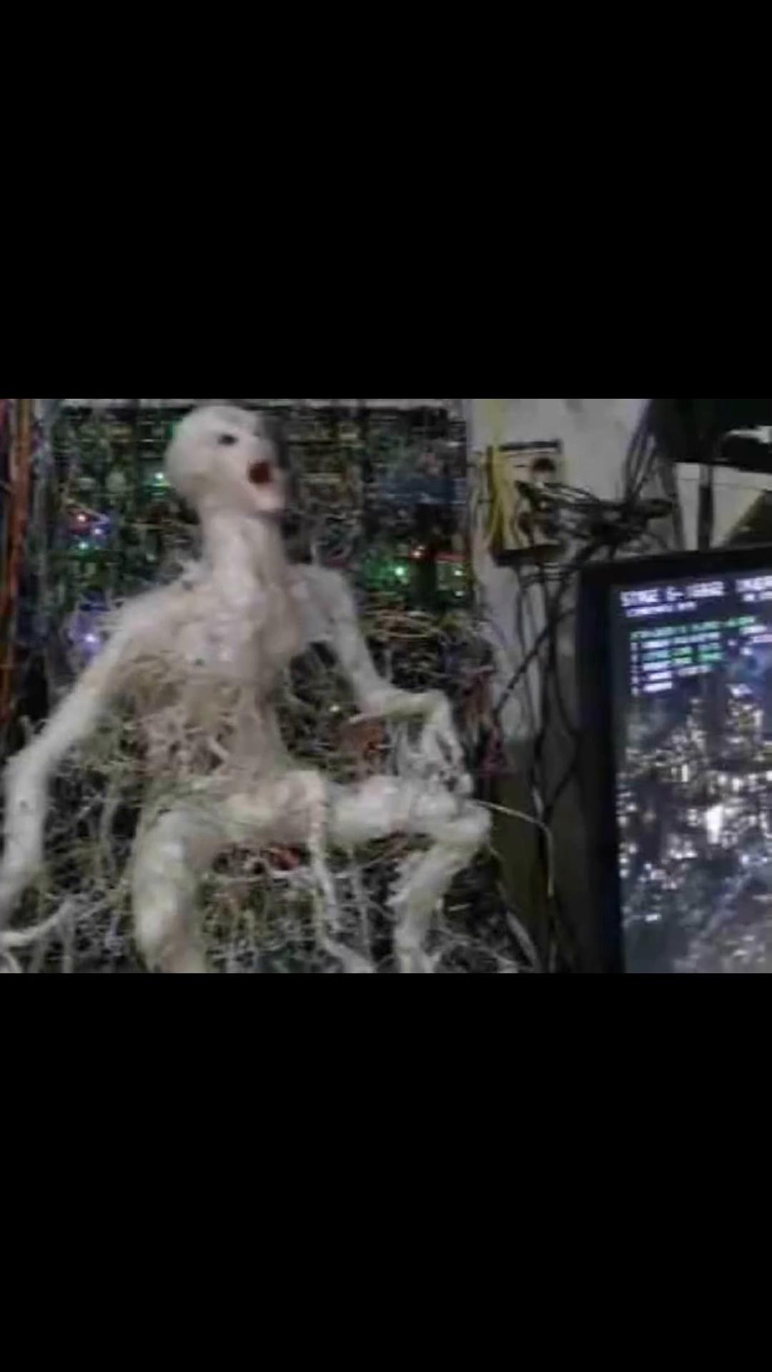 @333.333.333.333.333.333.333.33