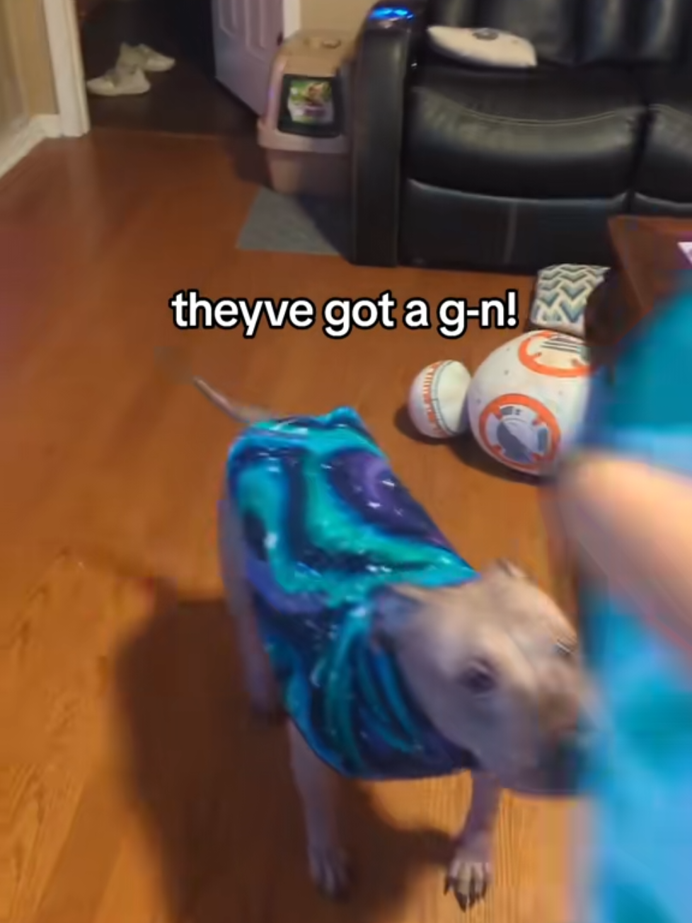 @Alexswaggzillaa