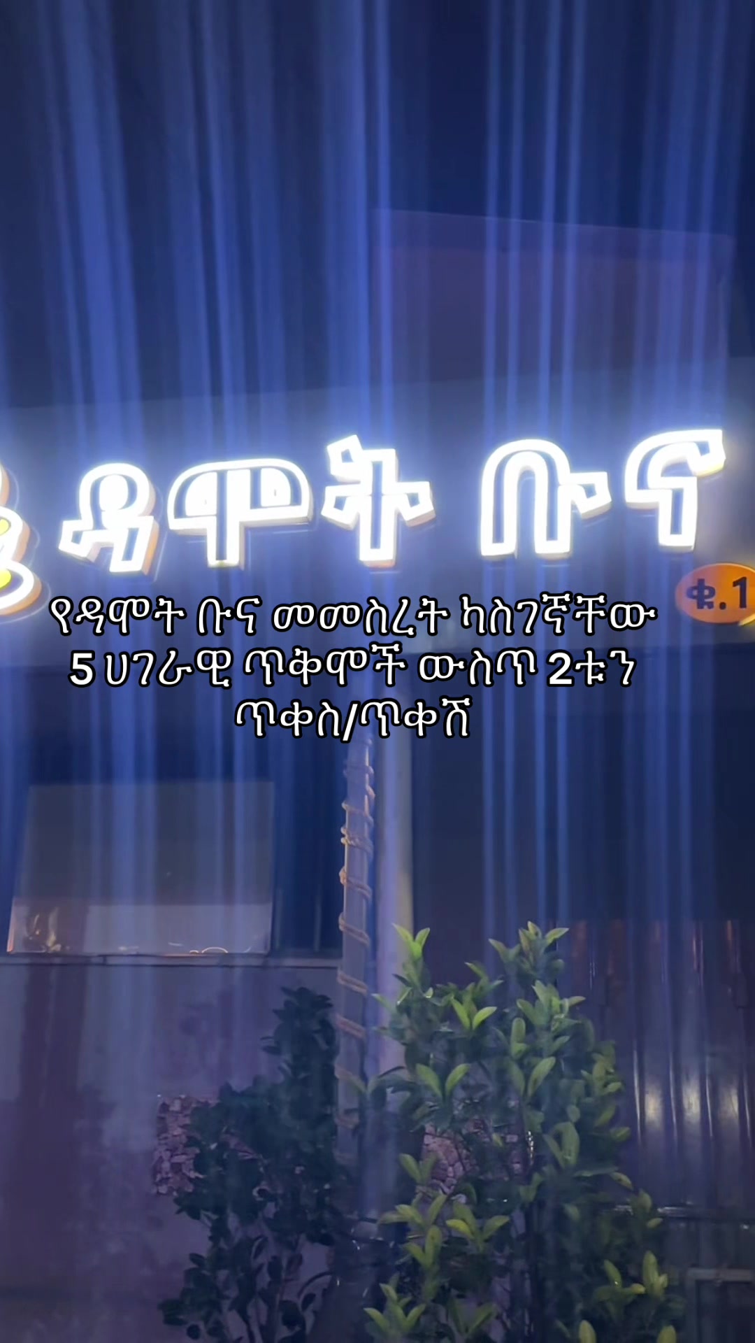 @ዳሞት ቡና