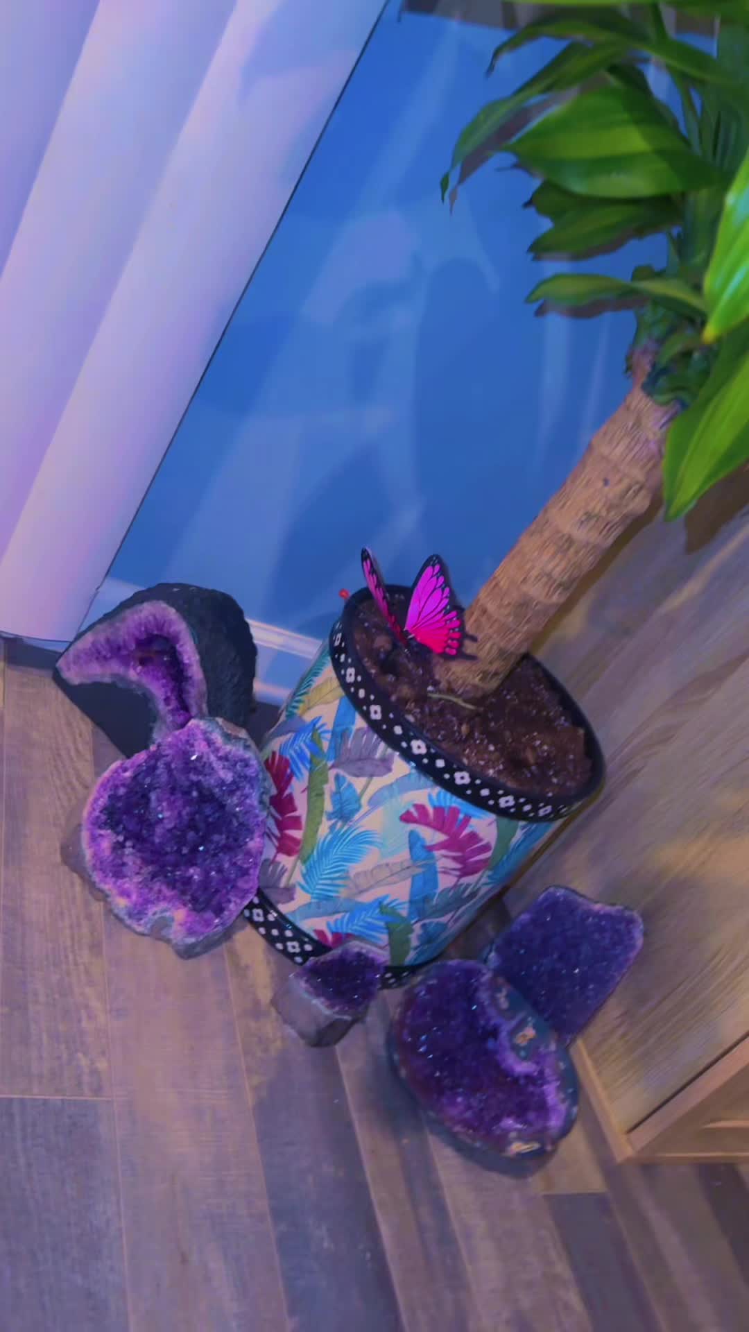 @hippyswaggab