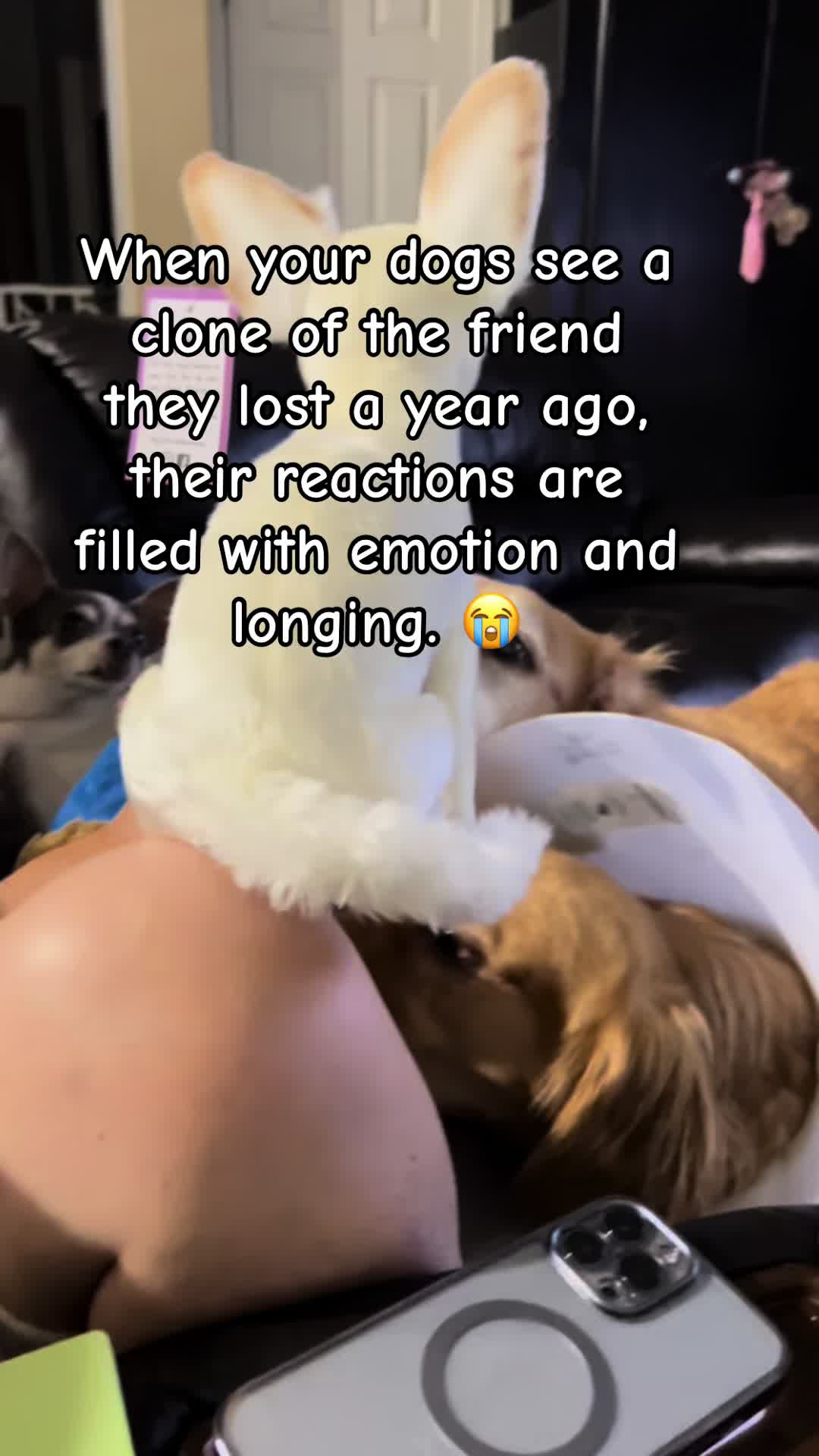@Oden