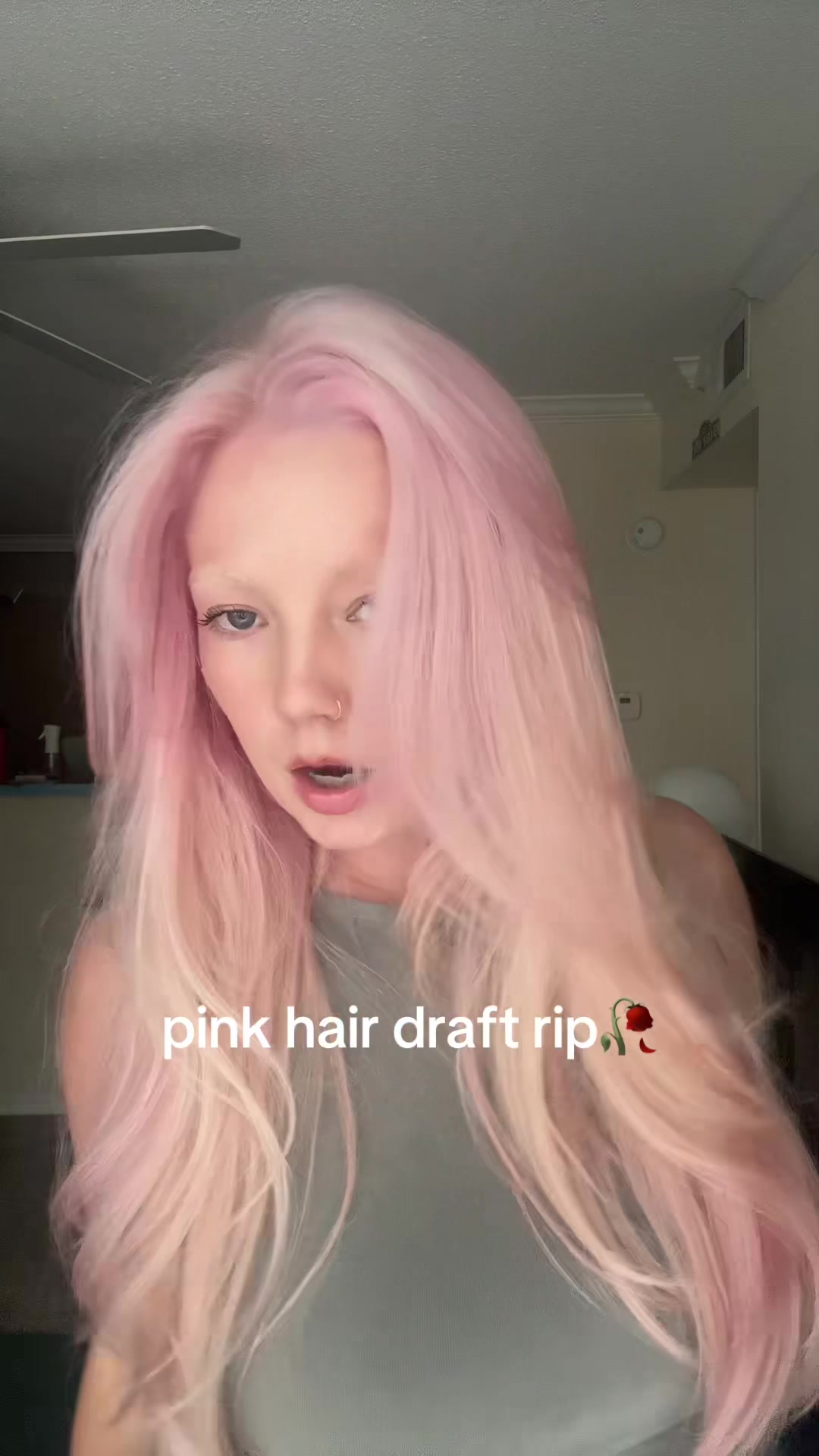 @daizbob