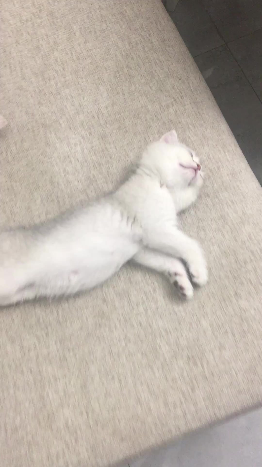 @๐๐๐๐๐๐๐ฃ
