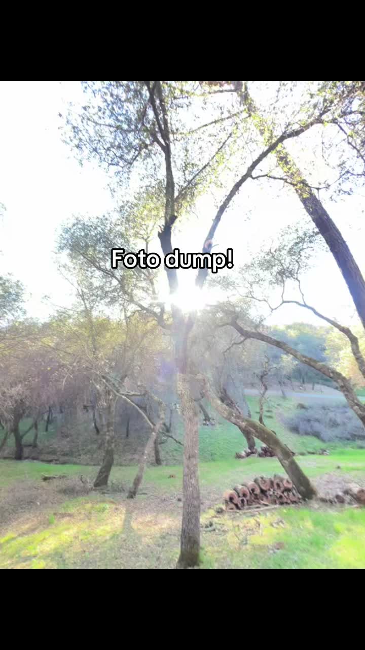@Patrón🫣