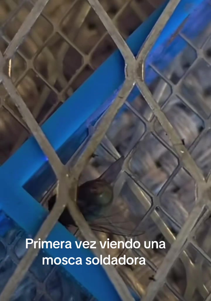 @noticiero562