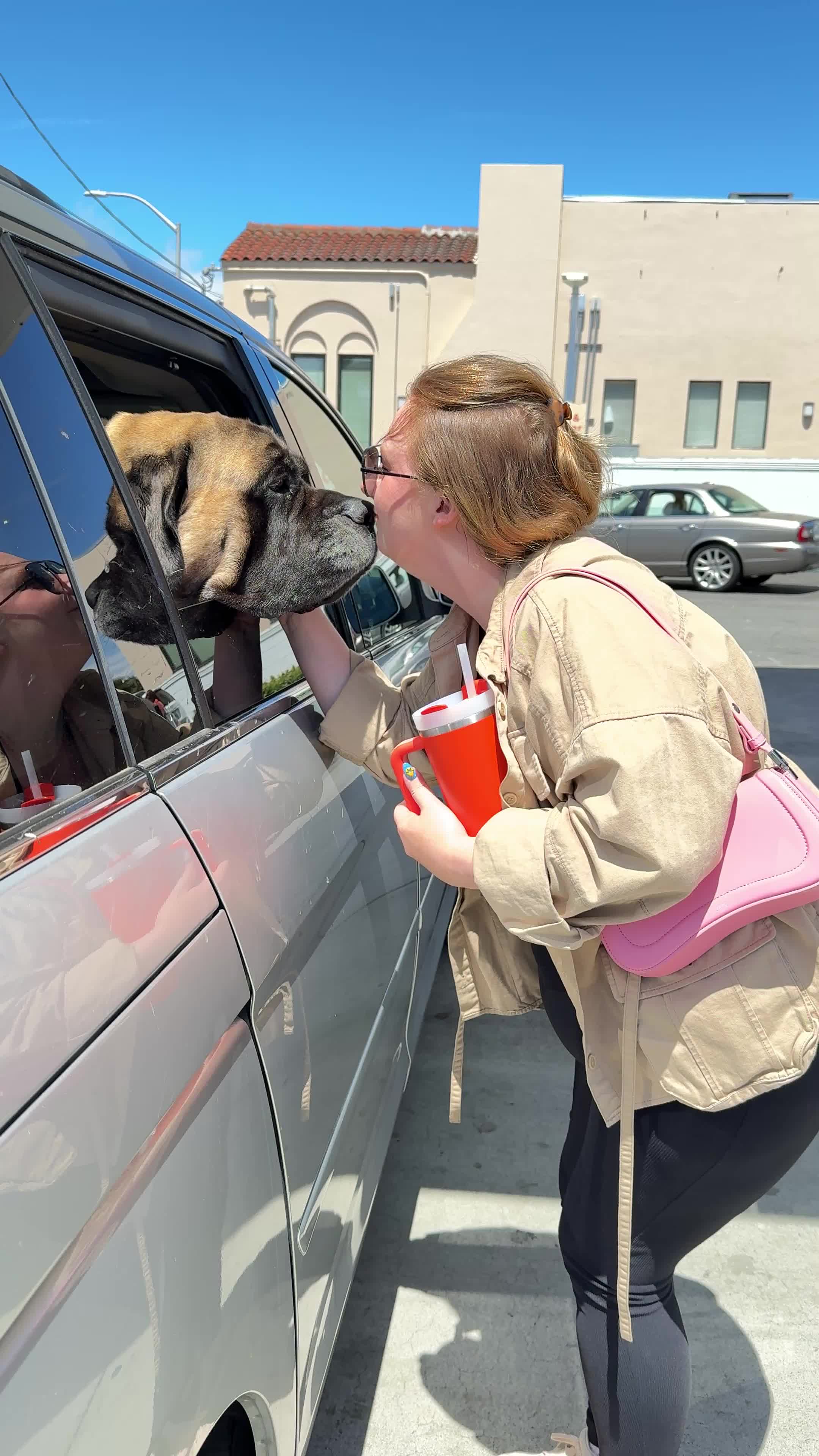 @Fronkythemastiff