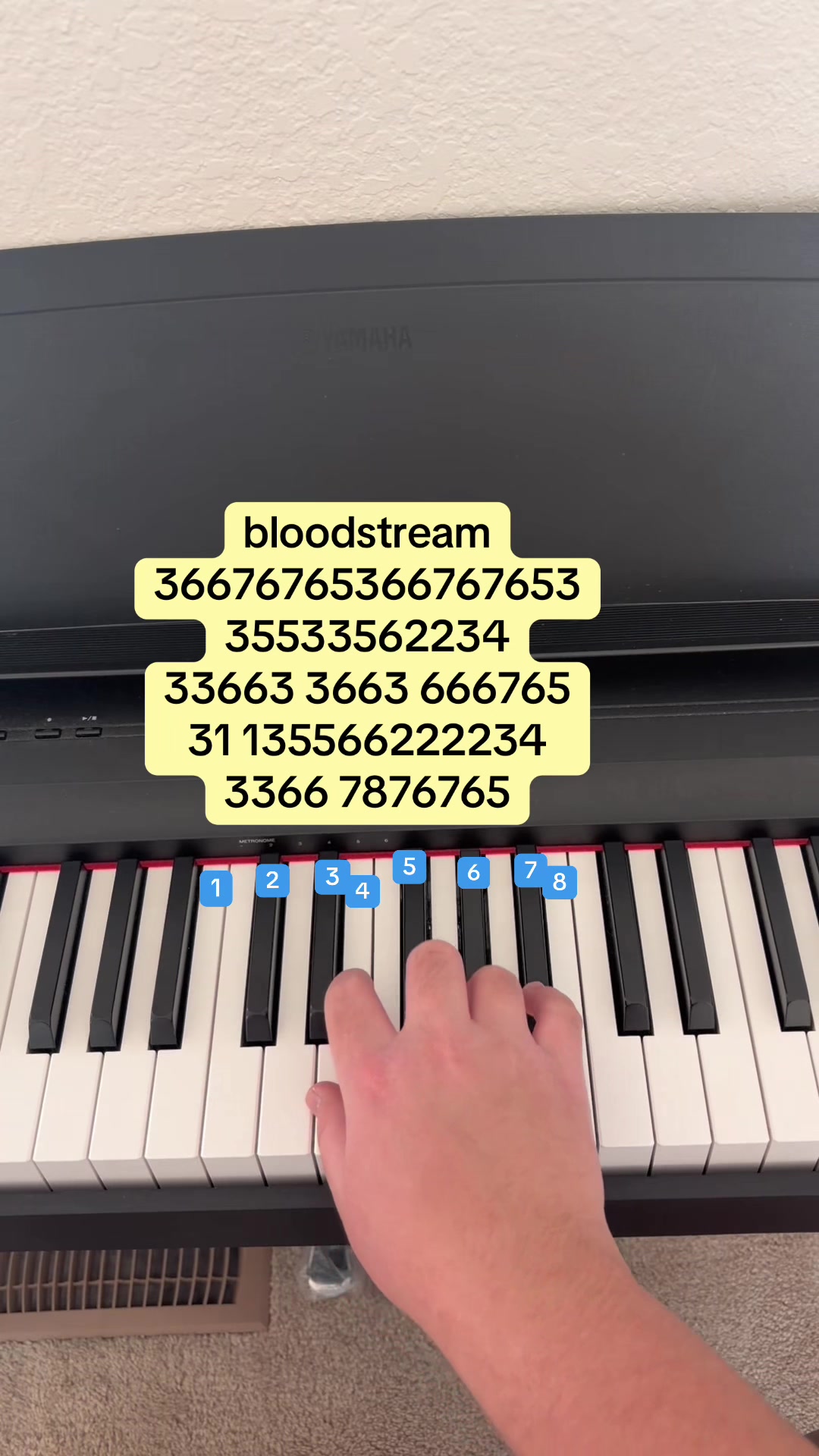 @Piano 🎹