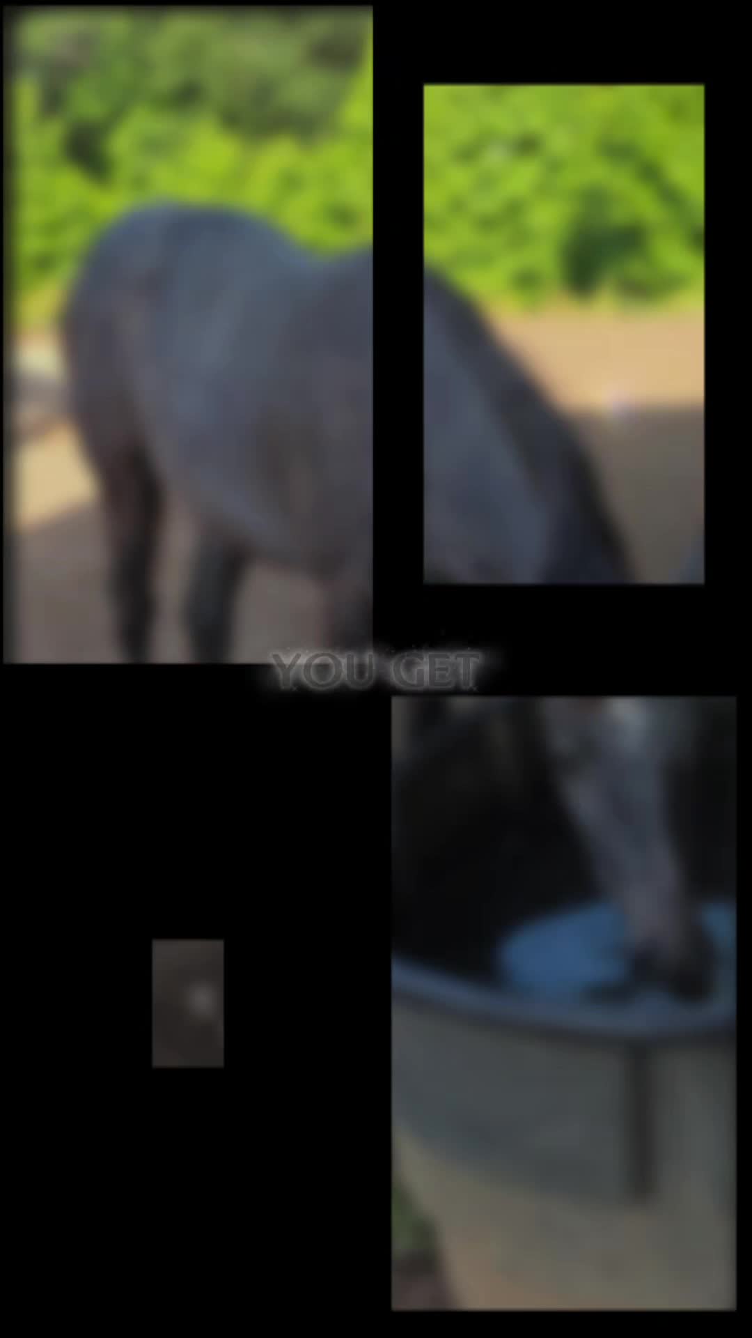 @Kerri