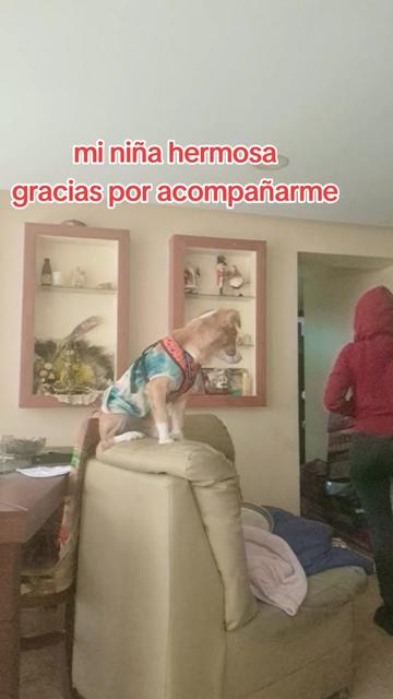 @🪐 11:11 🍀