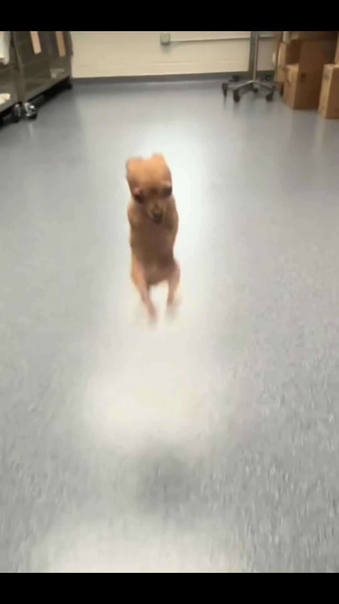 @кꭎꪒ᥇к𐐼 н𐐼 к𑄈ꪒᧉ᥋𐐼хᶜᵃᶦⁿᵉ ᶠᵃⁿ