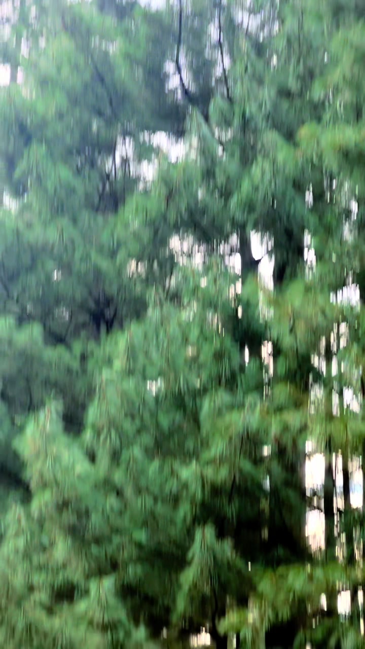 @🦂MF🦂
