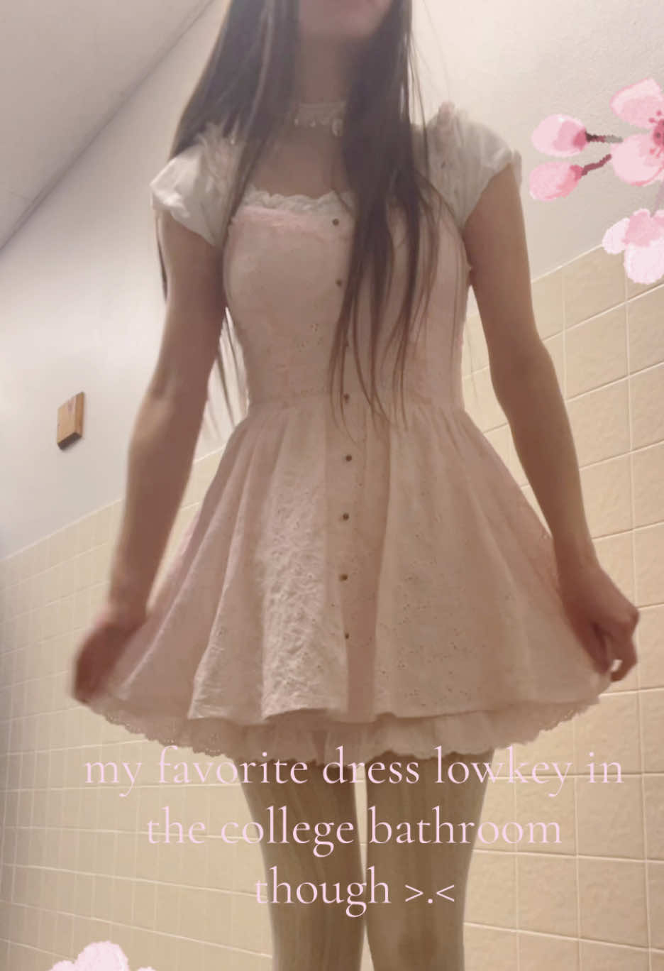 @ฅ^•ﻌ•^ฅ